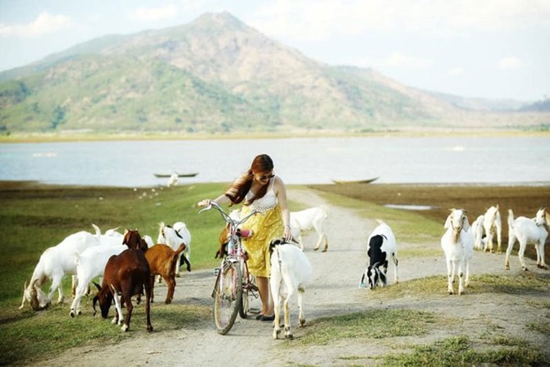 Cánh đồng dê – Thảo nguyên Pleiku