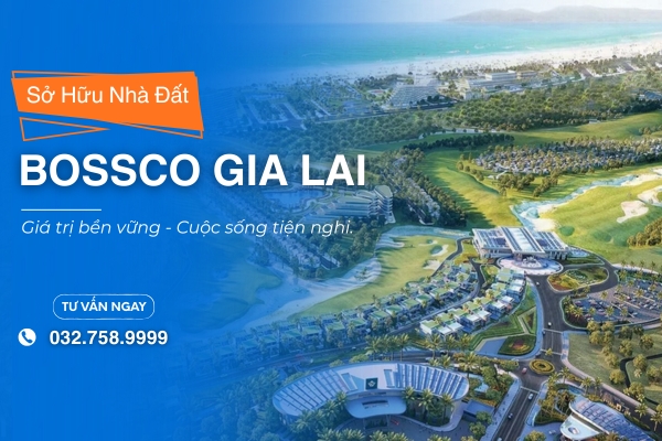 Bán Đất Nền Bossco Gia Lai – Phân Tích Mặt Bằng Thực Tế & Cơ Hội Giao Dịch