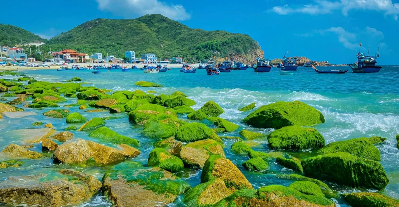 Đi Ngay Thôi - MÙA RÊU XANH QUY NHƠN ĐẸP ĐẾN NAO LÒNG!