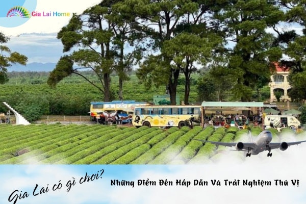 Gia Lai Có Gì Chơi? Những Điểm Đến Hấp Dẫn Và Trải Nghiệm Thú Vị