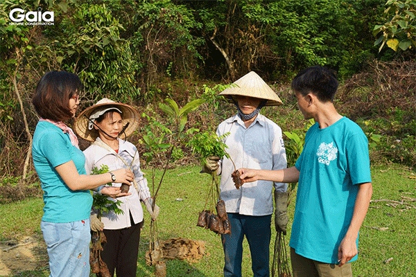 Góp một cây là góp rừng! Hãy cùng Gaia bảo vệ và trồng rừng Việt Nam