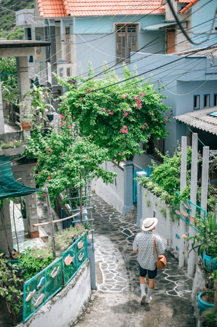 Khám phá con đường đá xanh Quy Nhơn Đông (Nhơn Lý cũ) - Du lịch Gia Lai 
