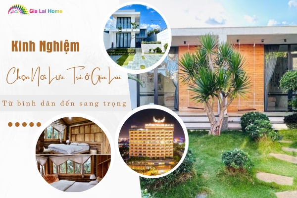 Kinh Nghiệm Chọn Nơi Lưu Trú ở Gia Lai: Từ Bình Dân Đến Sang Trọng