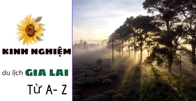 Kinh Nghiệm Du Lịch Gia Lai Từ A-Z