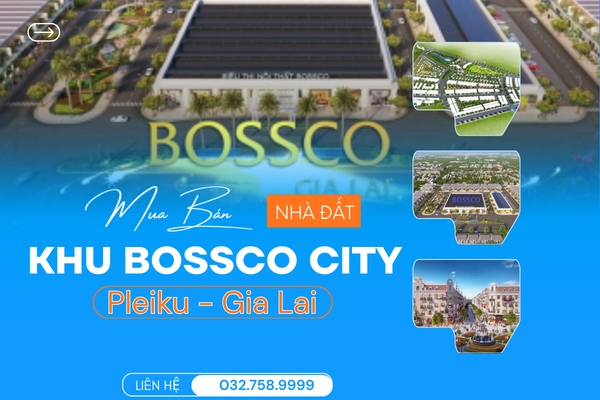 Nhà Phố Dự Án Bossco Gia Lai – Giá Trị An Cư Và Khai Thác Thực Tế 