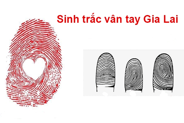  Sinh trắc dấu vân tay Gia Lai