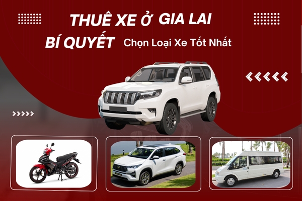 Thuê Xe Ở Gia Lai: Bí Quyết Chọn Loại Xe Tốt Nhất Cho Chuyến Đi Của Bạn