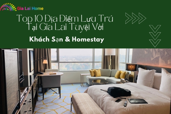 Top 10 Địa Điểm Lưu Trú Tại Gia Lai Tuyệt Vời: Khách Sạn Và Homestay